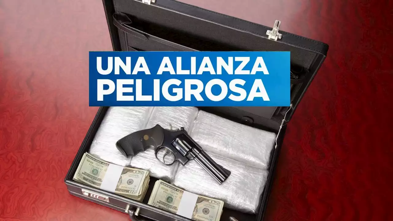 Destapan cómo el 'Cartel de Sinaloa' y las disidencias Farc negocian drogas por armas - Pulzo