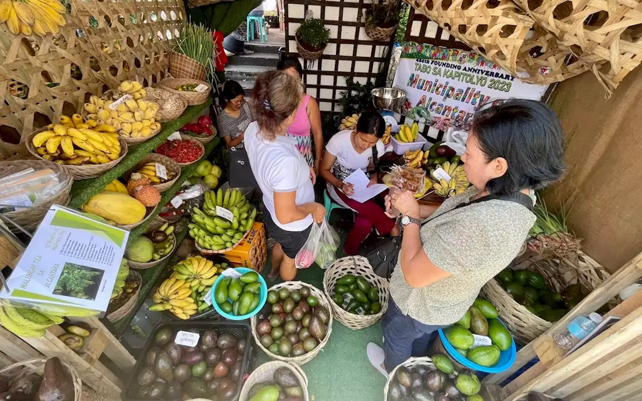 Cebu jumpstarts 454th founding celebrations with agriculture trade fair