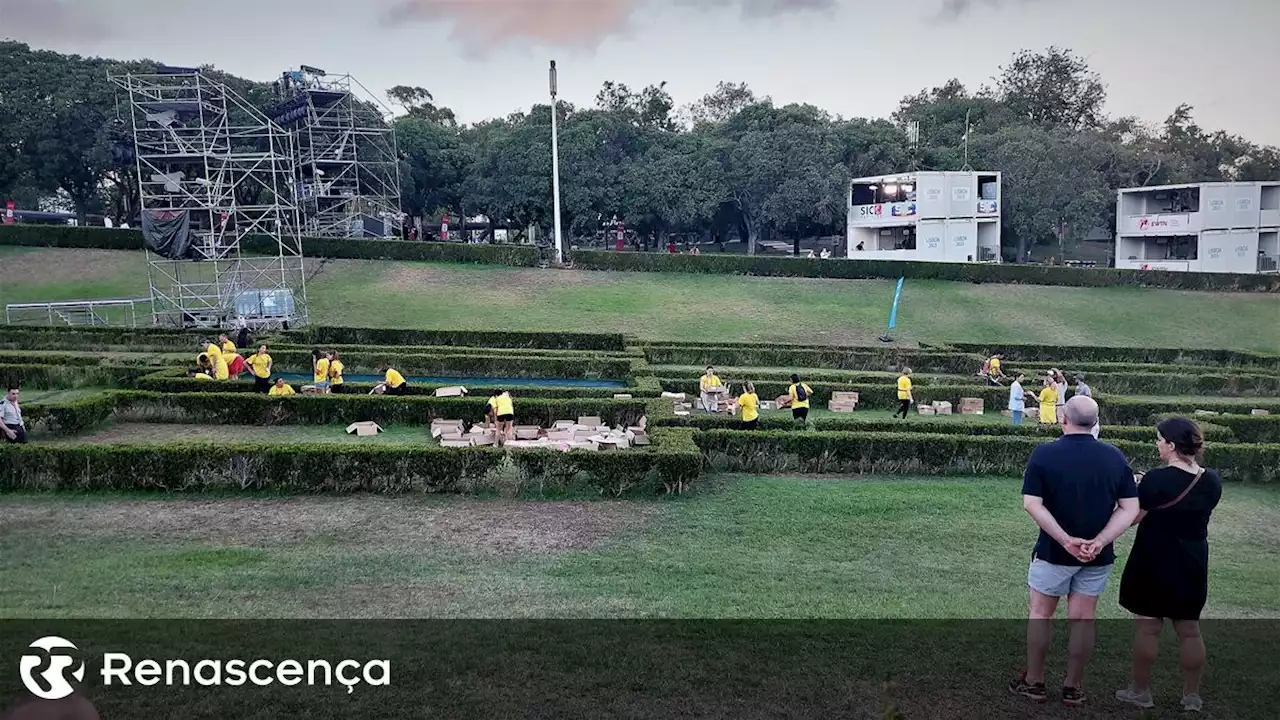 ​Mais de 100 pessoas montam tapete de flores para acolher o Papa - Renascença