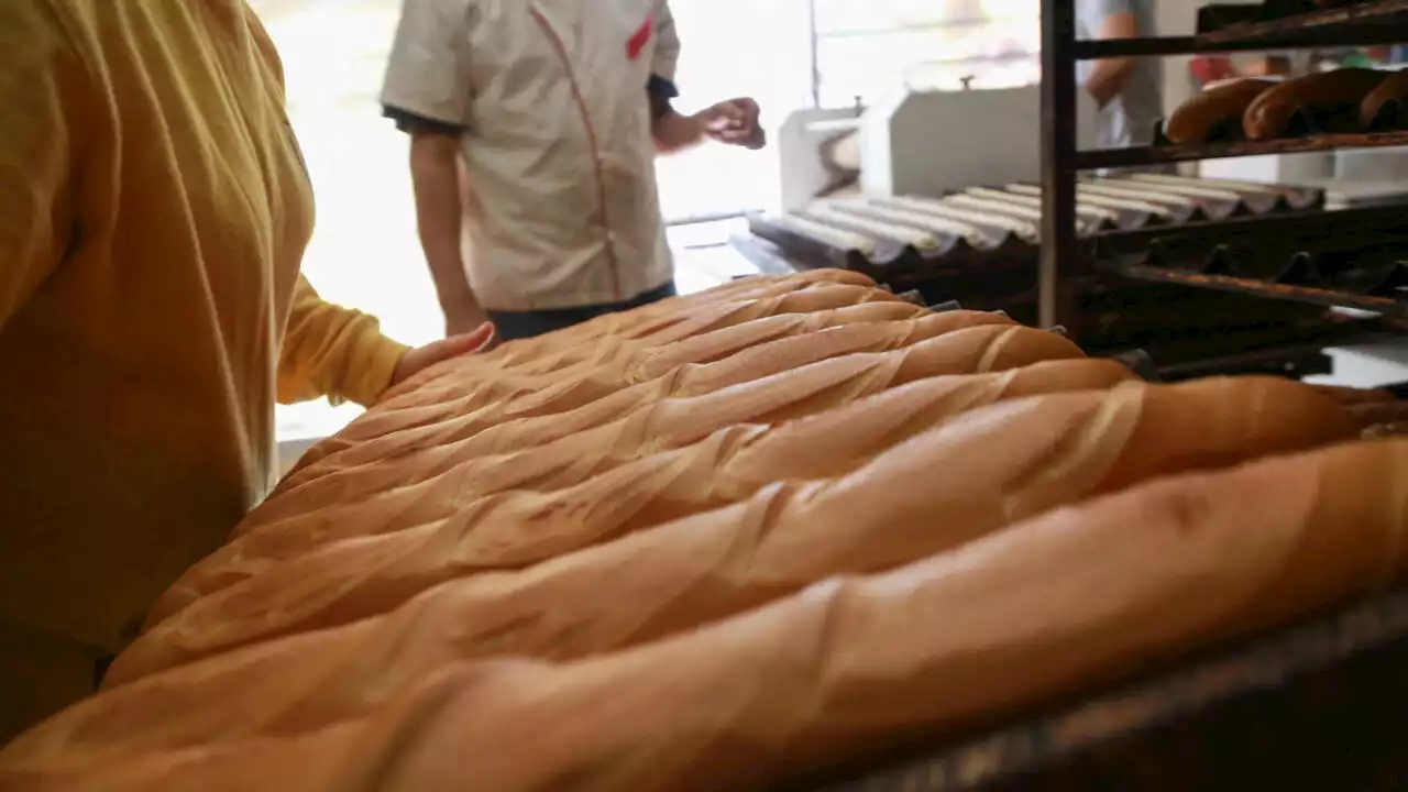 Prix subventionnés du pain en Tunisie: comment des boulangeries s’organisent face à la grève?