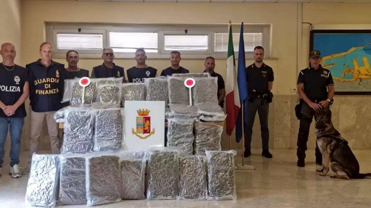 I 113 chili di droga dei narcos nascosti tra carrozzine per disabili e passeggini