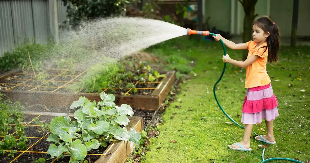 Expert says vegetable patch can add at least €5000 to your house price