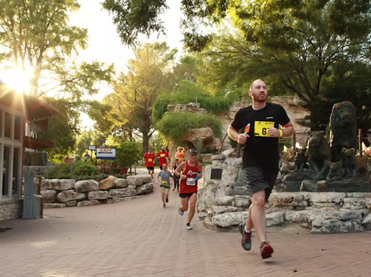 San Antonio Zoo's annual Zoo Run returns Sept. 8-9