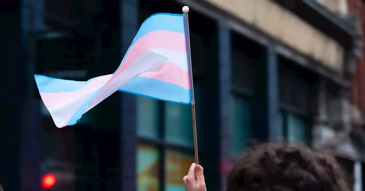 Ergue bandeira trans e é confrontado por peregrinos no Parque Eduardo VII