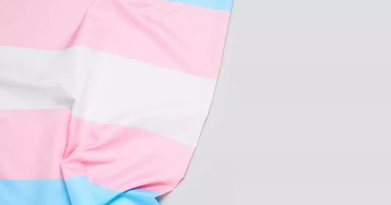 Organização da JMJ defende jovem que ergueu bandeira trans