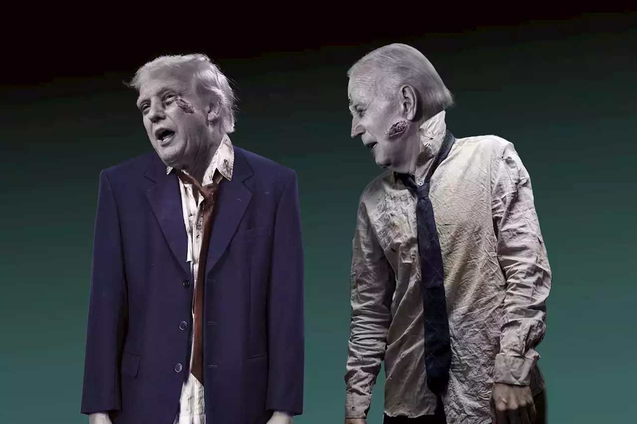 Welcome to the Zombie Election