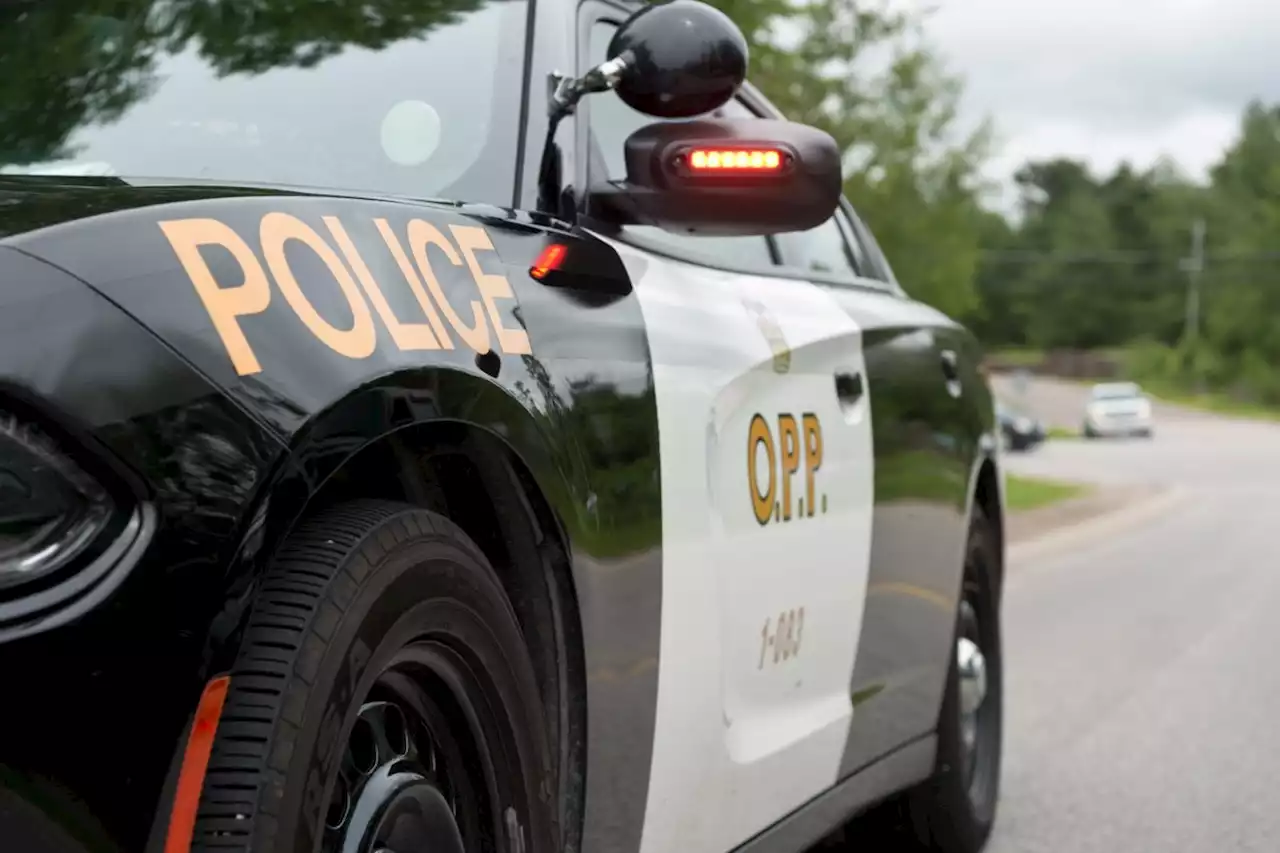Cops respond to driver 'swerving across both lanes of Highway 17'