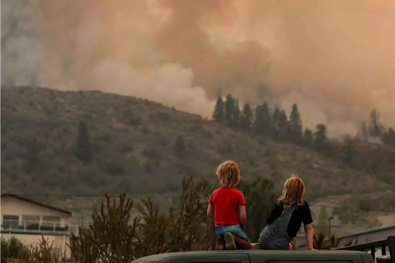 Canadian wildfire emissions are double previous record as flames rage on