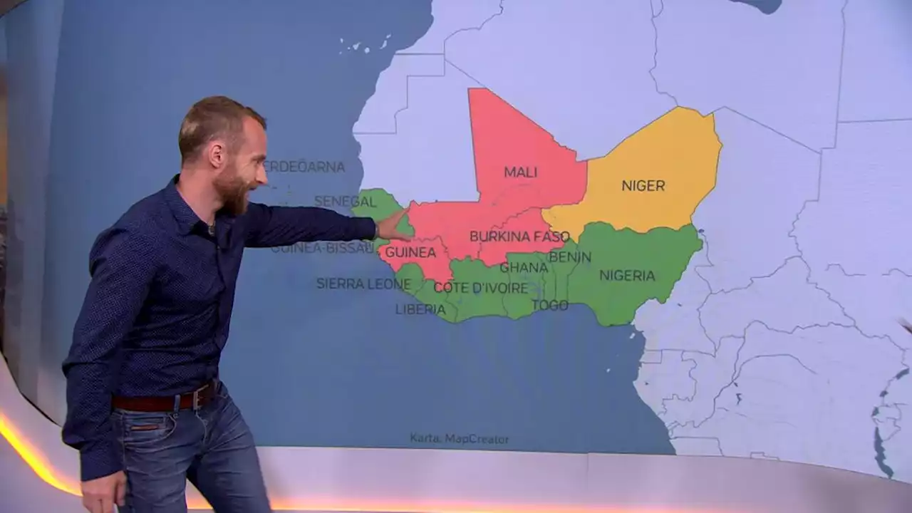 SVT:s Afrikakorrespondent: Kuppen i Niger kan starta afrikanskt storkrig