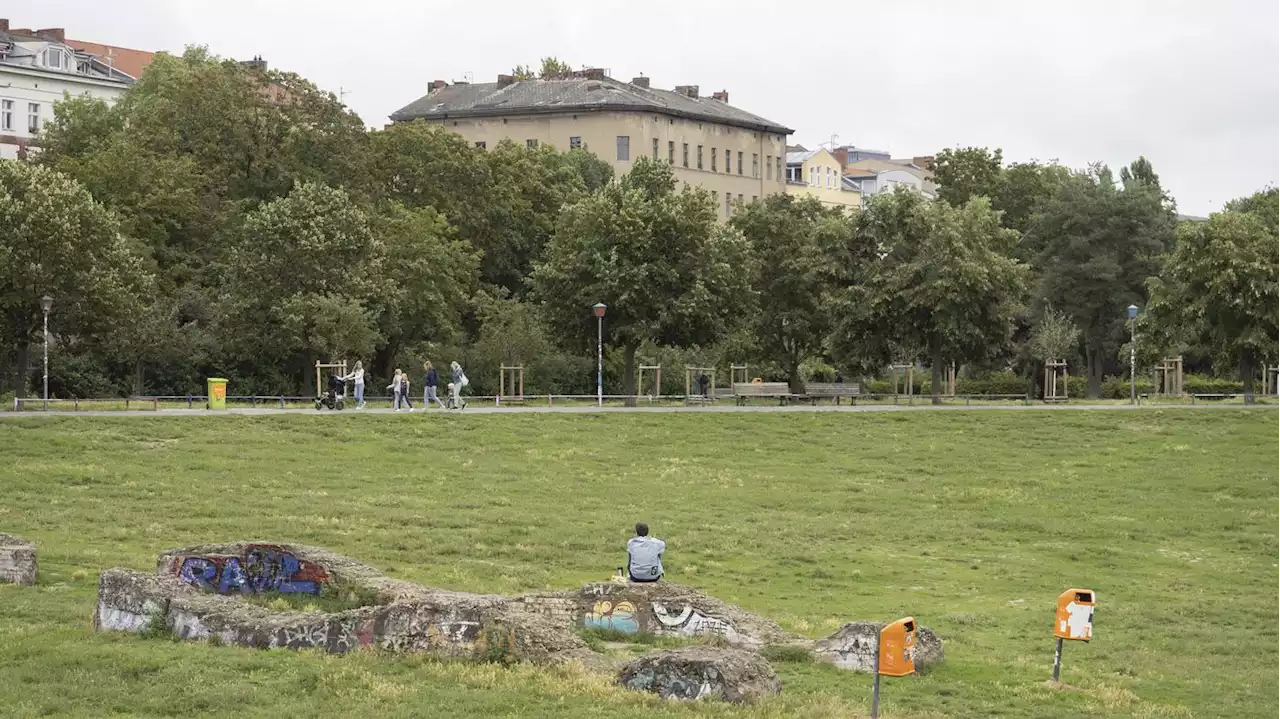 Nach Vergewaltigung in Berlin-Kreuzberg: CDU und SPD erwägen Zaun um den Görlitzer Park