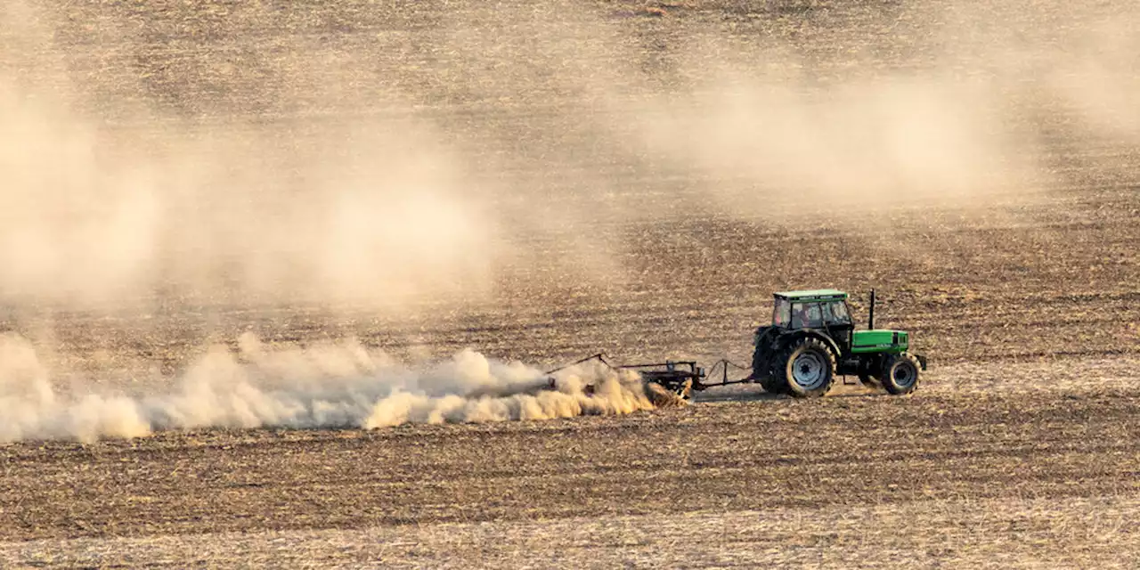 Studie zum Umweltbewusstsein der Bürger: Erderhitzung im Blick