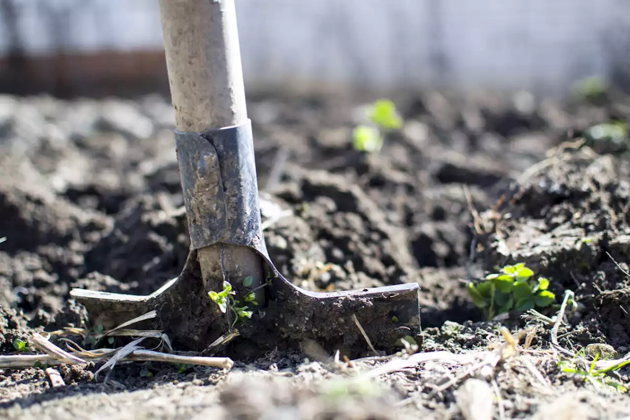 B.C., Canada promises $4M to help farmers adapt to climate change, drought - Terrace Standard