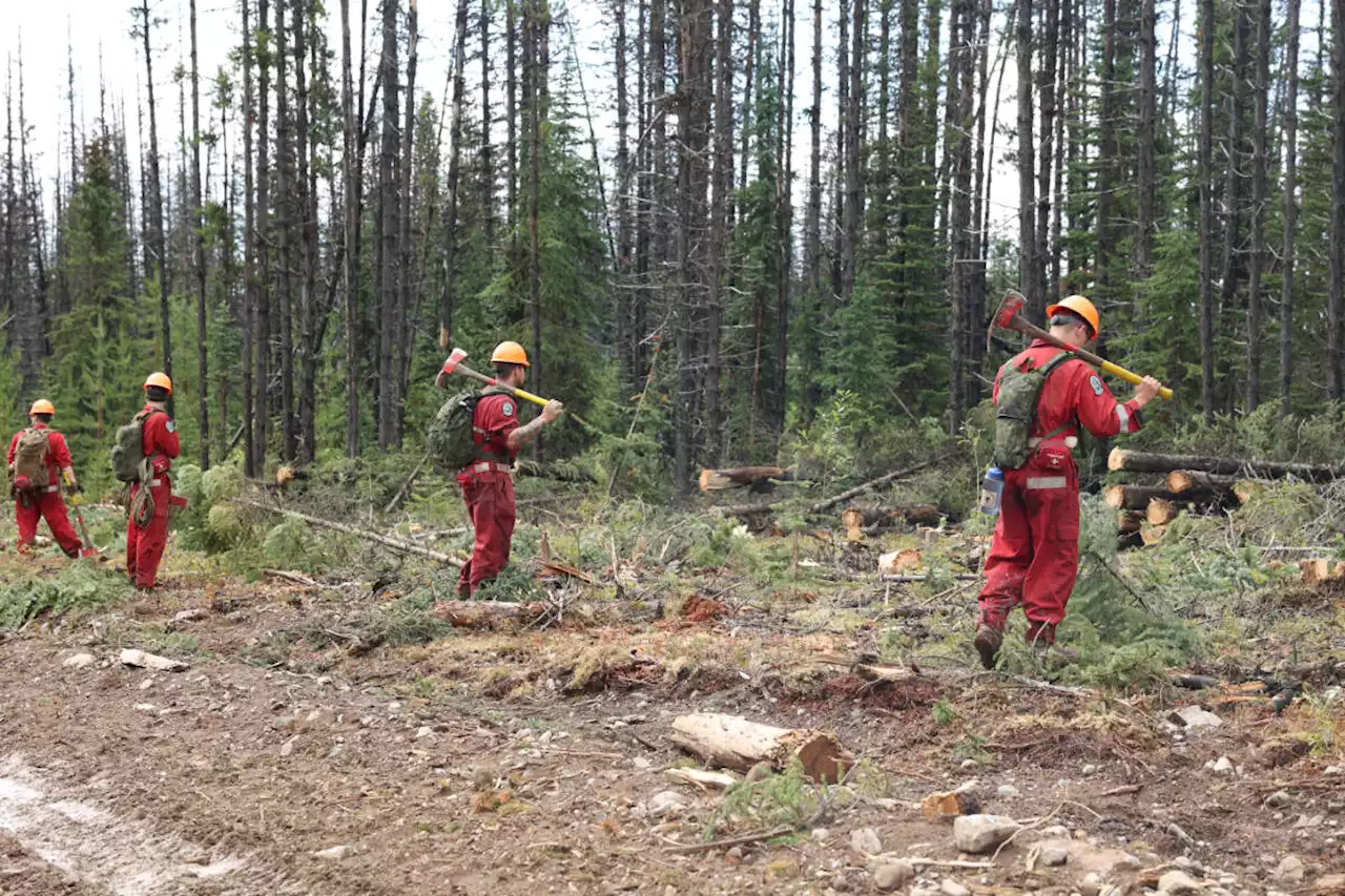 ‘It’s heavy’: Firefighter deaths weighing on B.C. wildfire crews - Terrace Standard