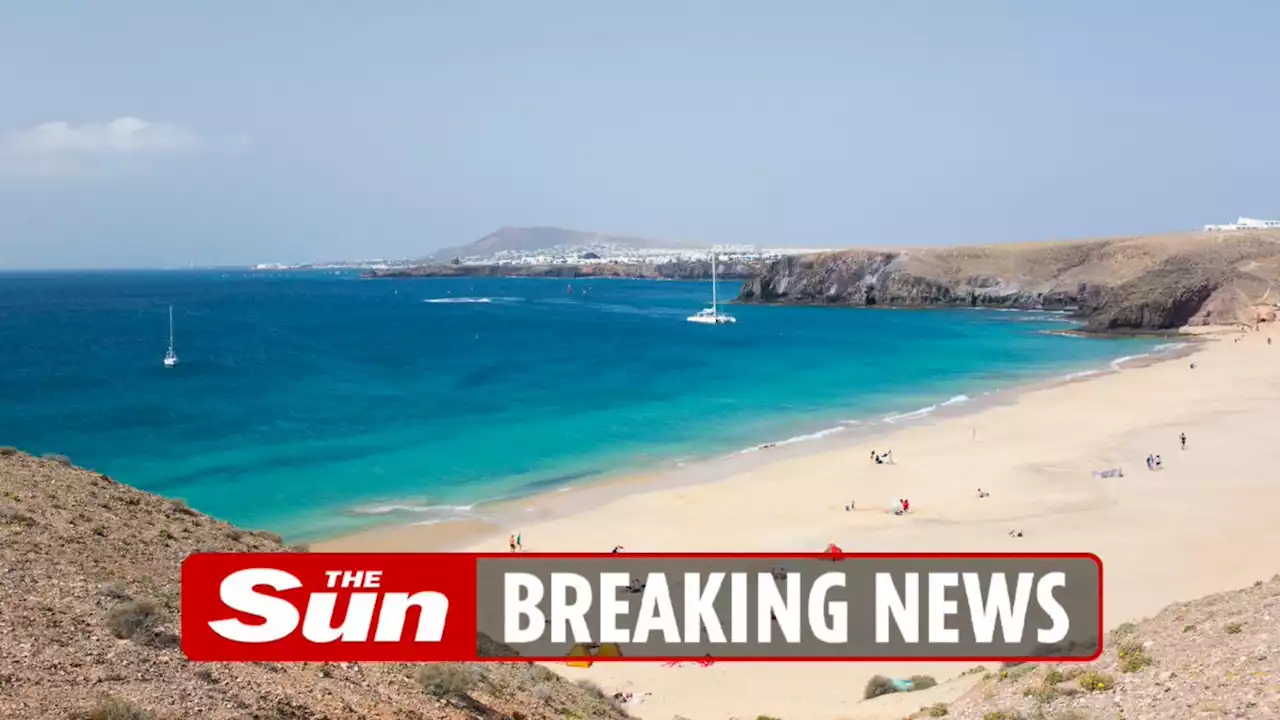 Majorca beach evacuated as shark spotted prowling near the shore