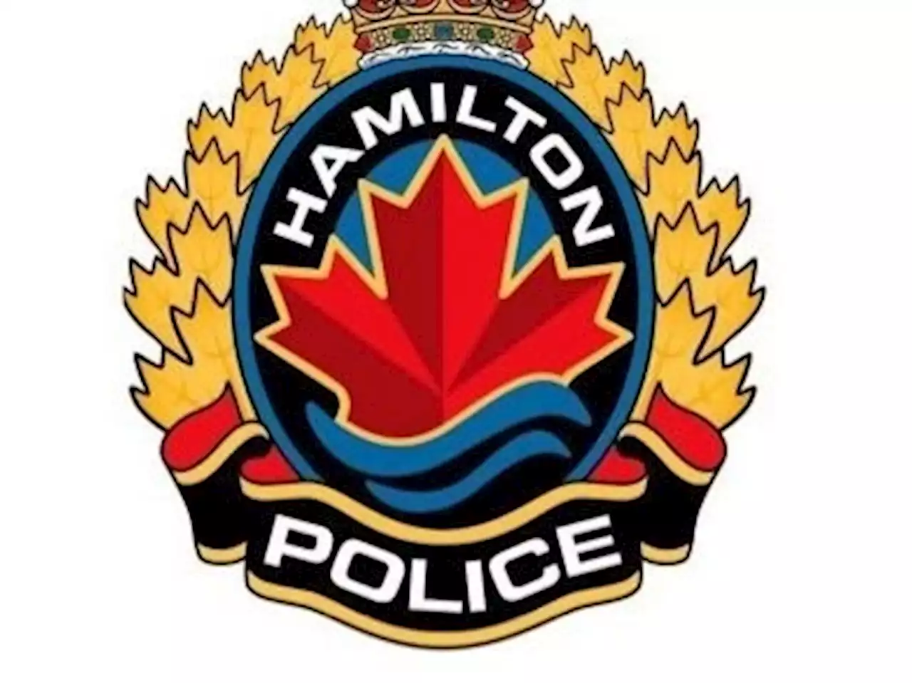 Boy, 14, who went missing in Lake Ontario near Hamilton found dead