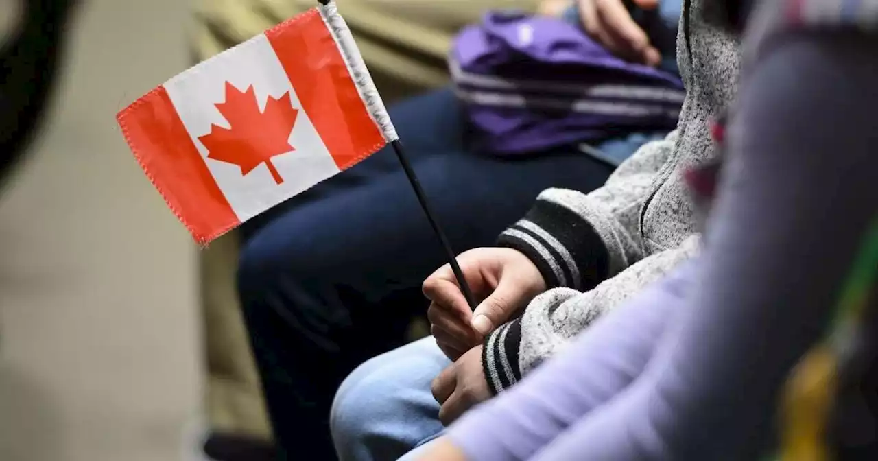 Internal survey reveals racism concerns at Canada’s immigration department