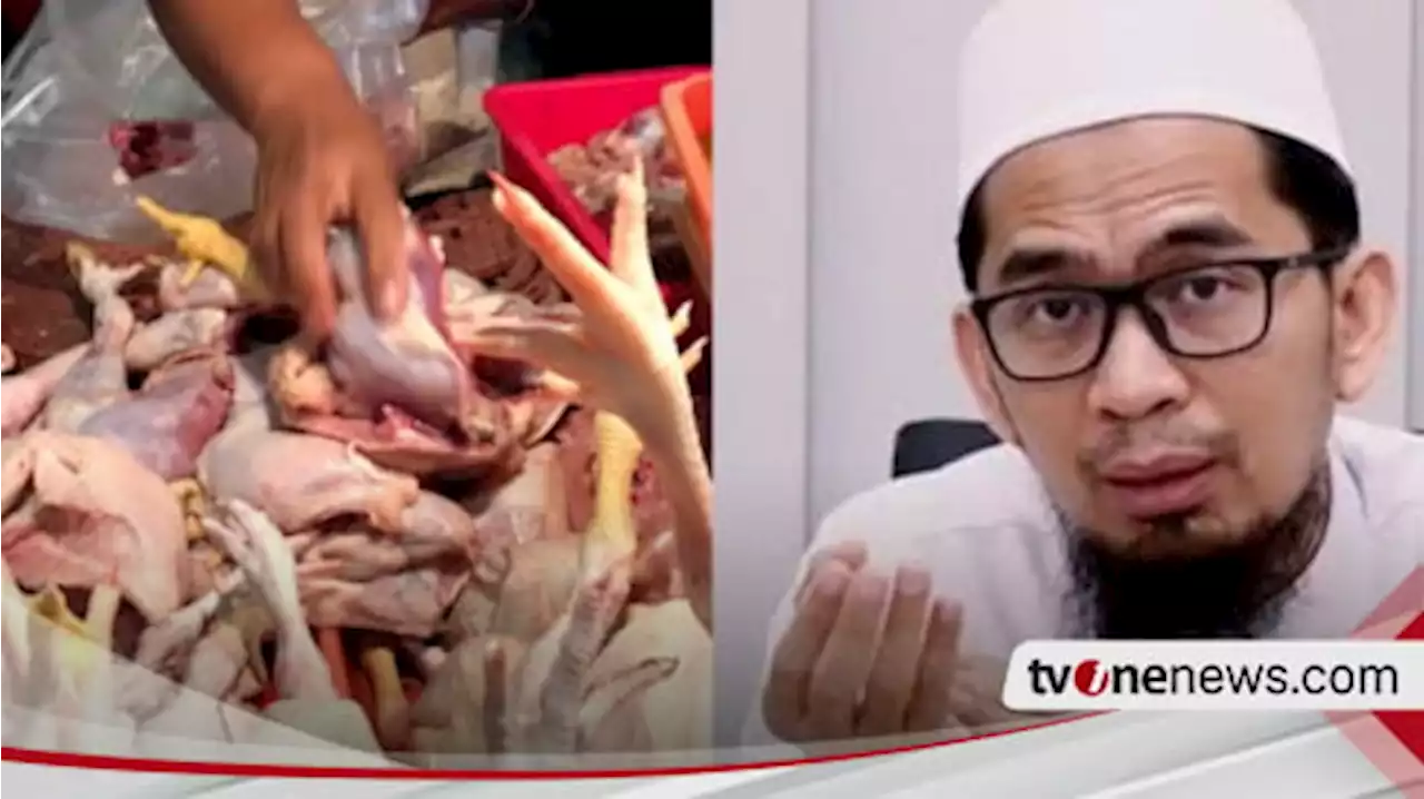 Ternyata Hukum Daging Ayam yang Dibeli di Pasar Menurut Ustaz Adi Hidayat Begini....