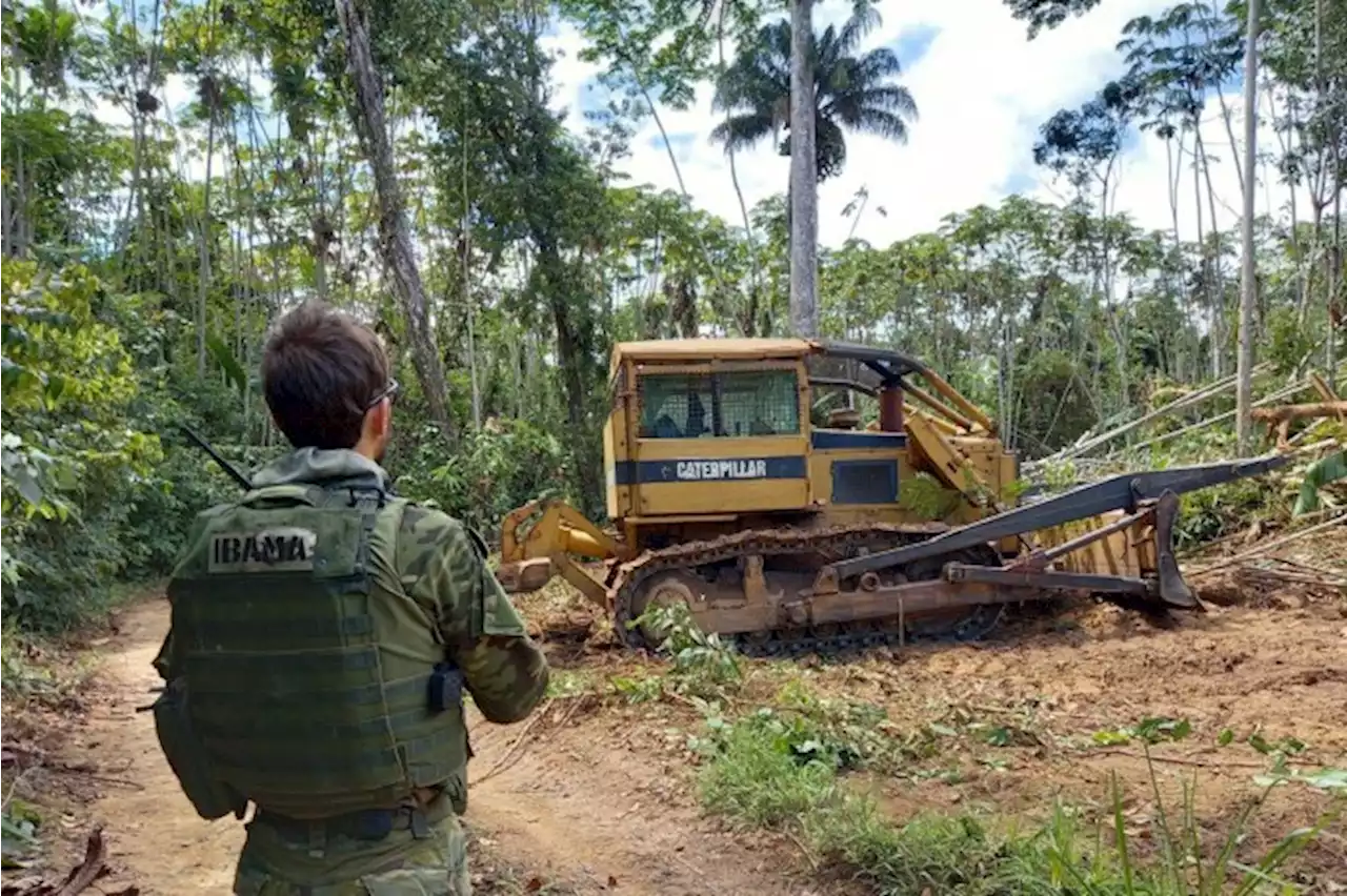 Ibama já aplicou mais de R$ 2 bilhões em multas na Amazônia em 2023 | Radar