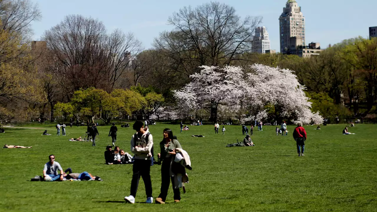 Why New York City might house migrants in Central Park