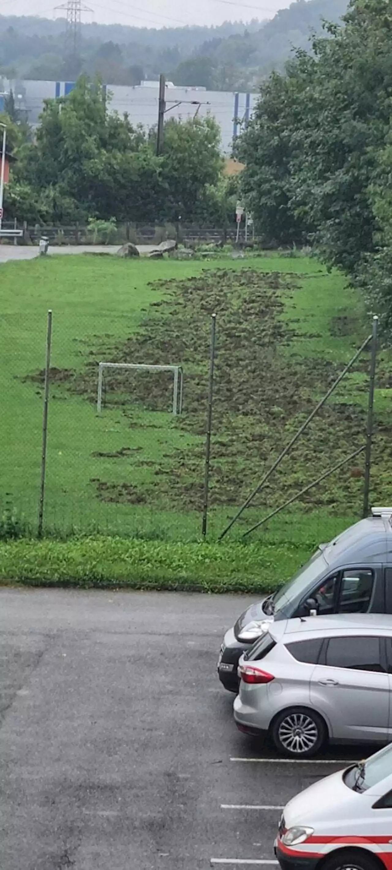 Wildschweine zerstören Fussballplatz in Pratteln BL