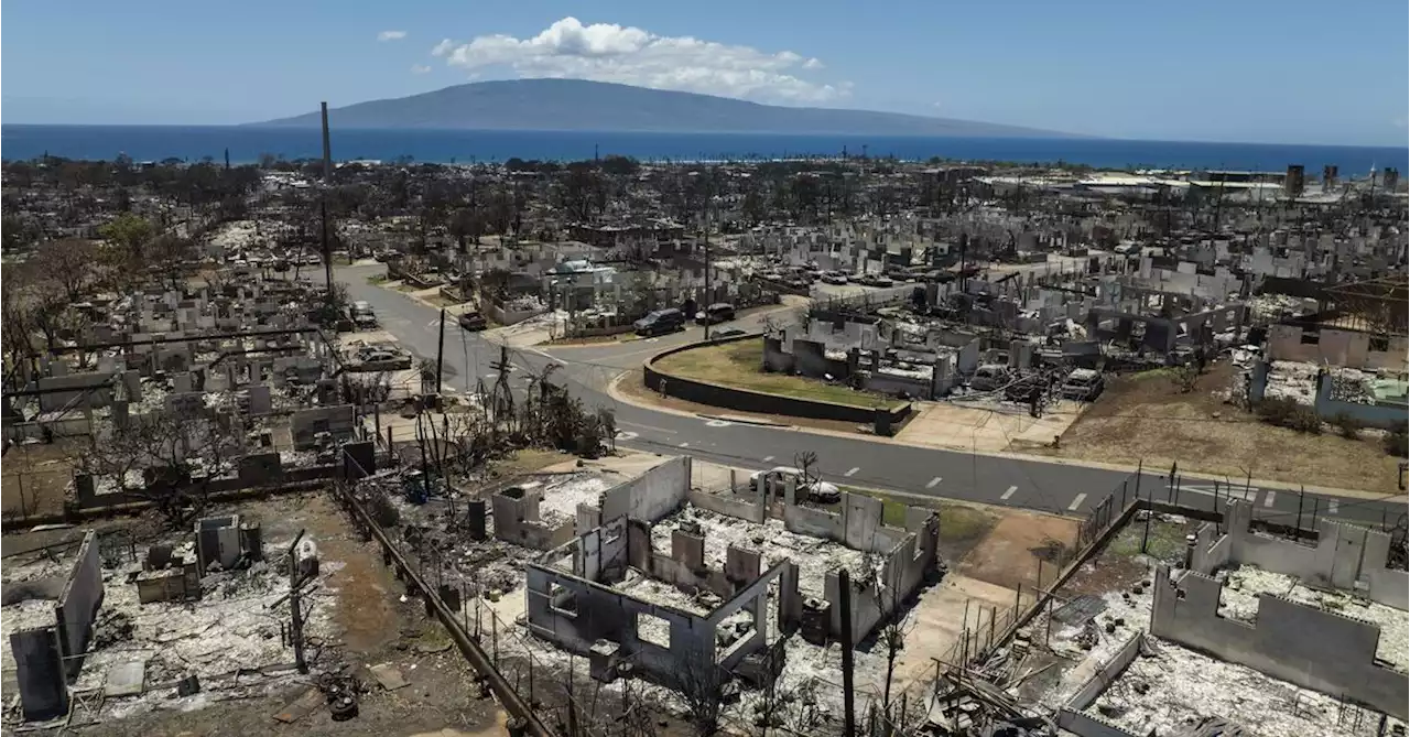 Death toll unclear as Maui body search nears end