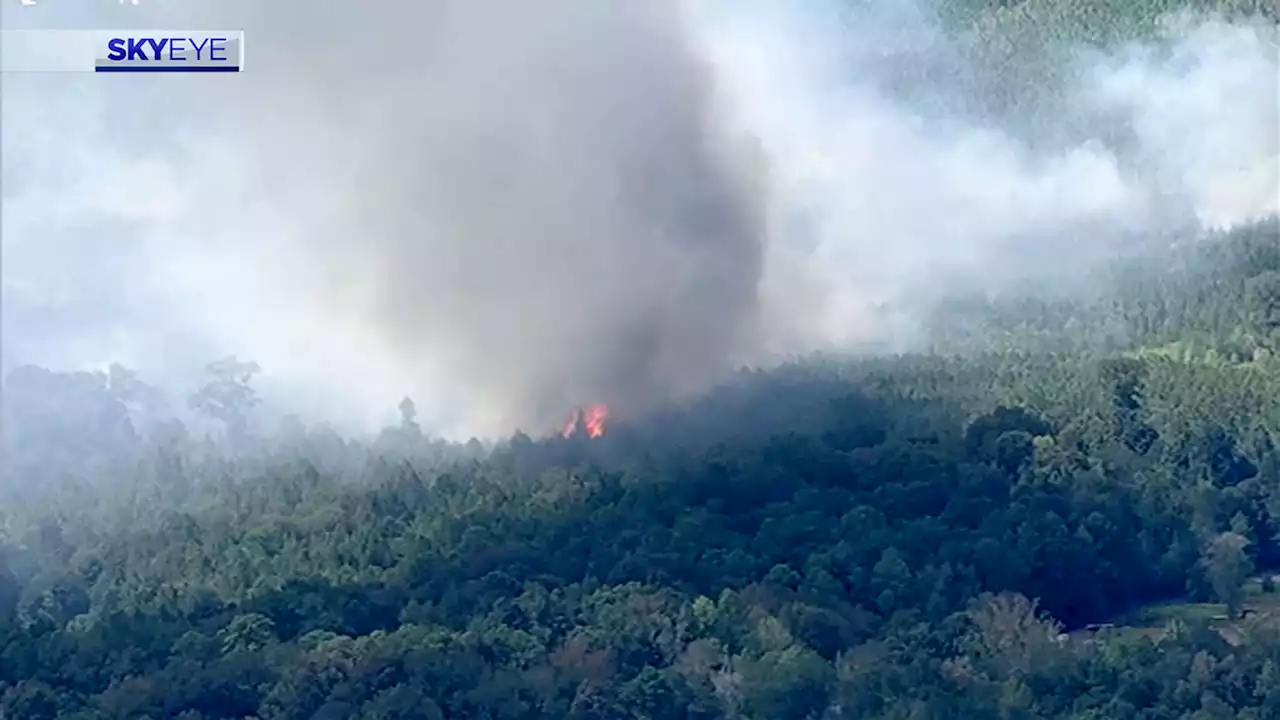 40-acre wildfire prompts evacuation for residents near CR-325 in Cleveland, firefighters say