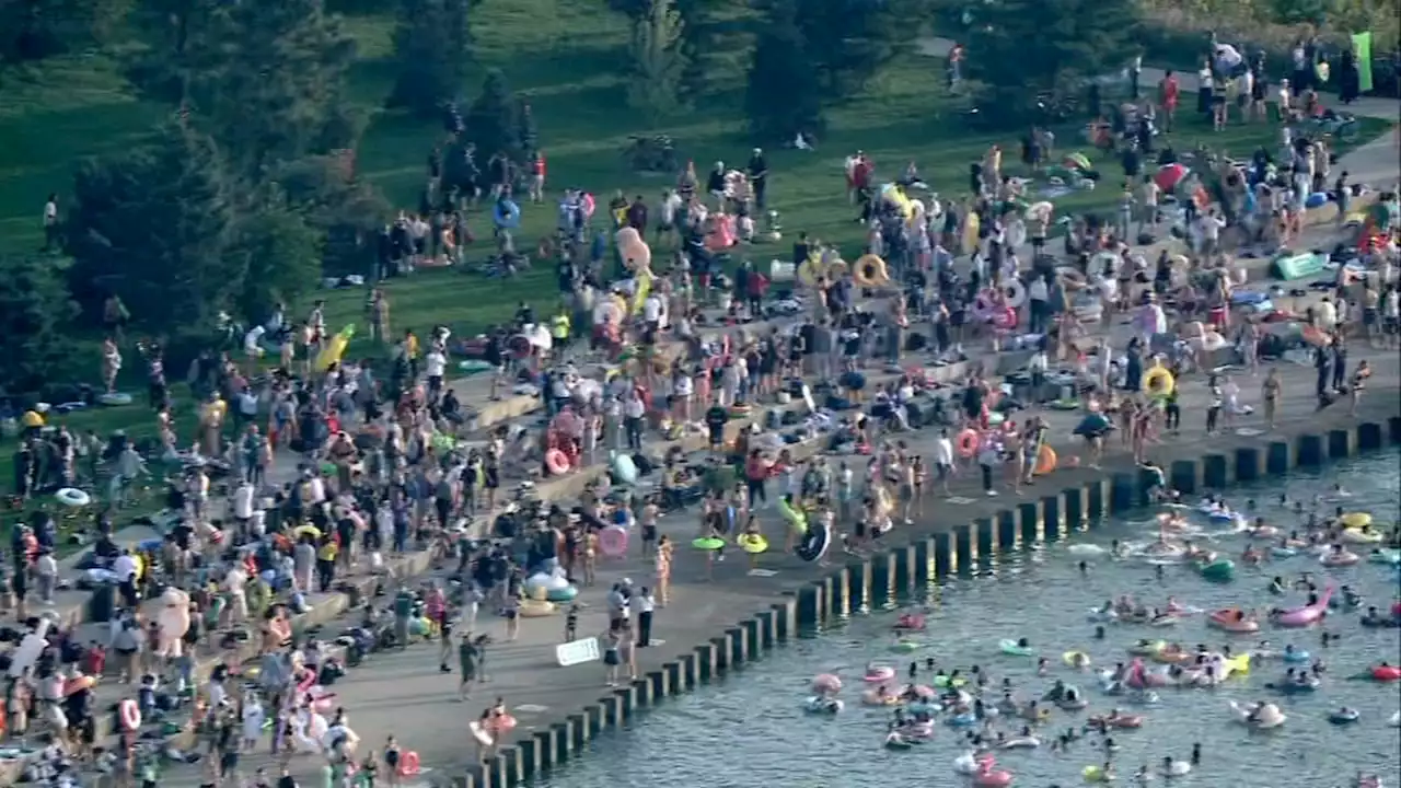 Friday Swim Club Chicago canceled for rest of year by organizers