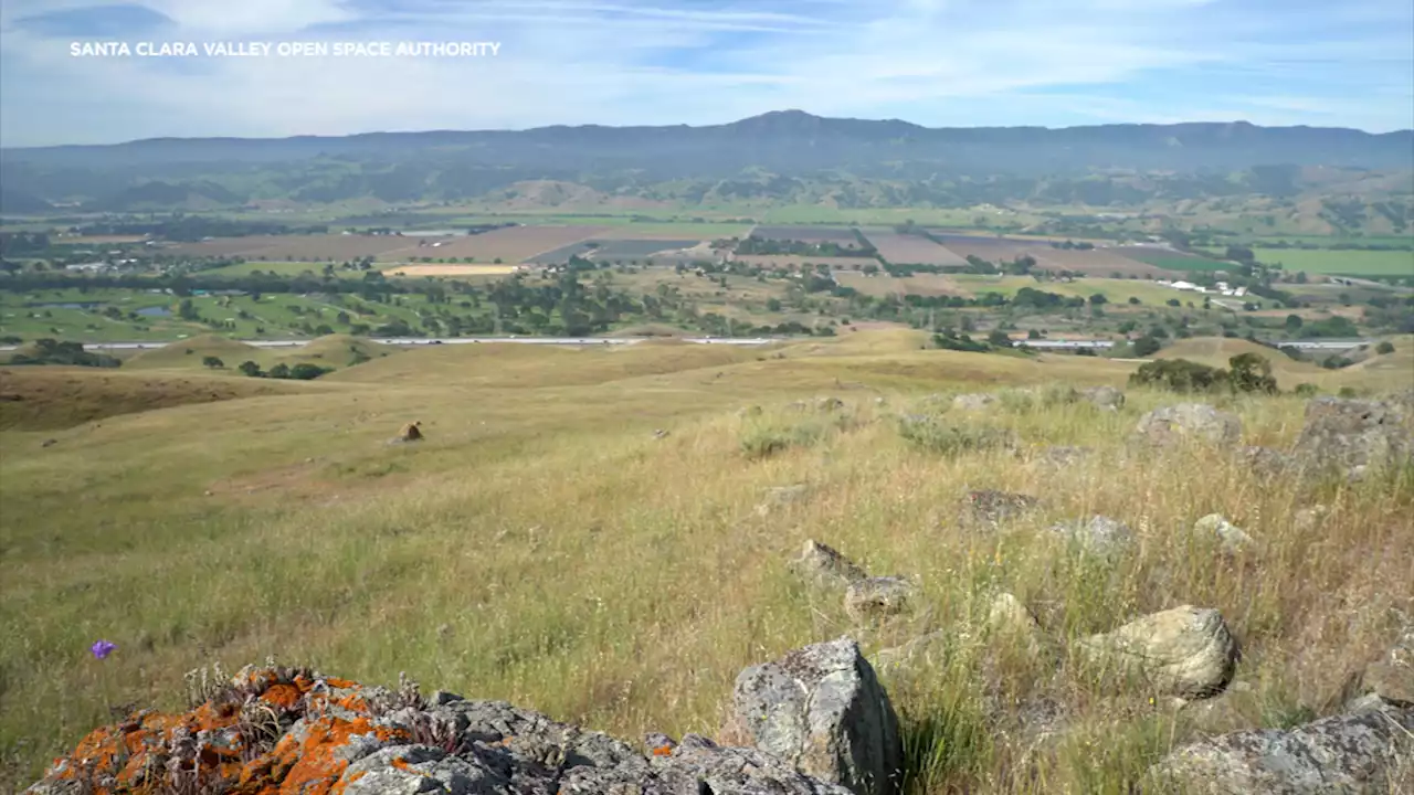 Bay Area's newest nature preserve is a Cold War relic that bridges wildlife habitats