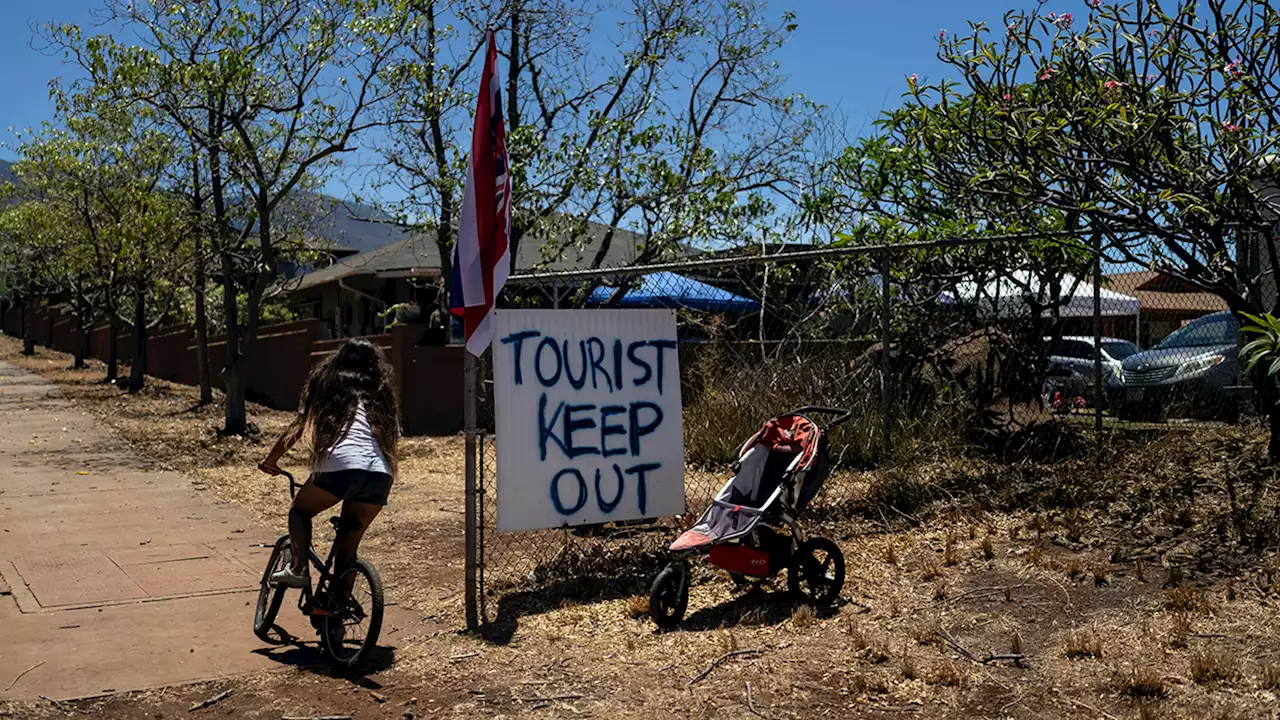 Tourists snorkeling, taking photos in Lahaina a 'slap in the face,' Maui resident says