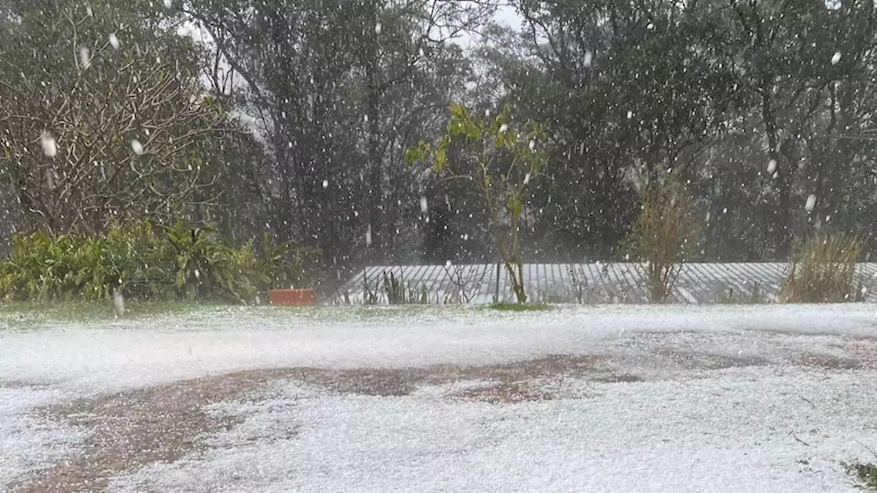 Severe thunderstorm warning as south-east Queensland set for large hail and damaging winds