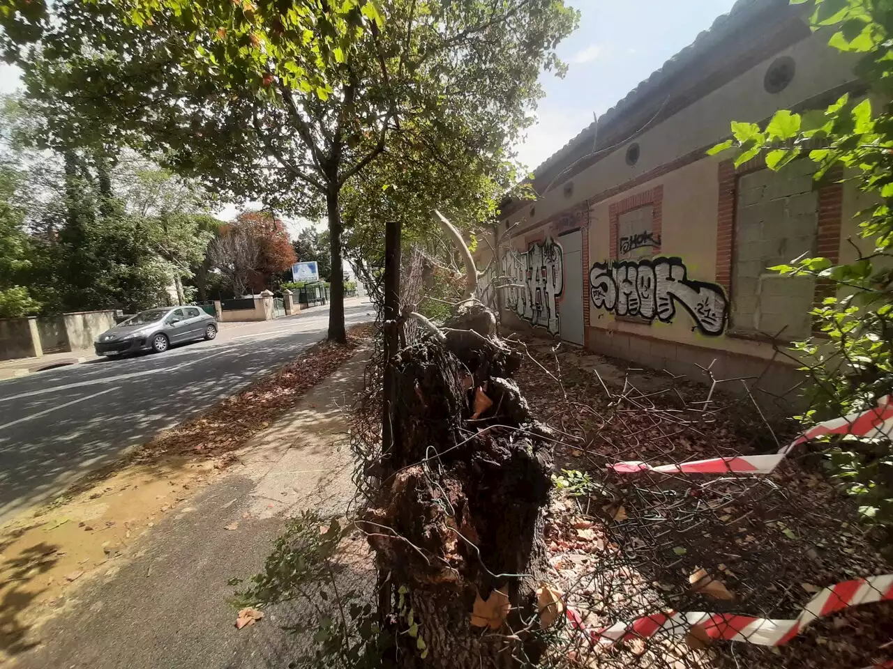 A l'entrée de Toulouse, sur cette avenue, tout un monde est en train de disparaître