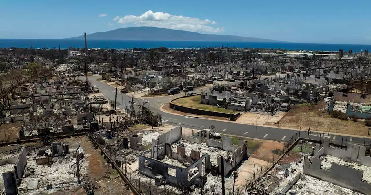 Unclear how many in Lahaina died in wildfires as Hawaii authorities near end of search for remains