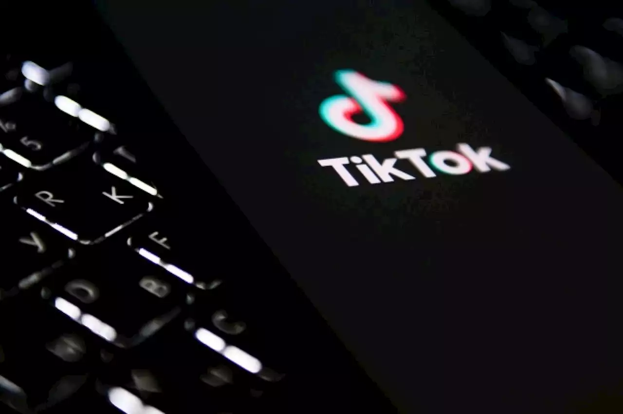 Власти Киргизии предложили закрыть доступ к TikTok