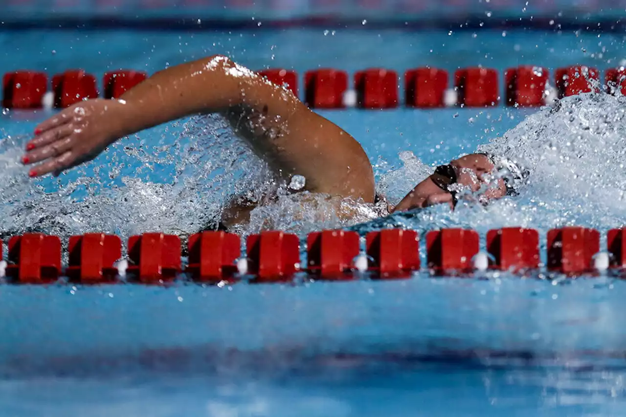 Guía para registrarse en programas de natación para adultos en Bogotá