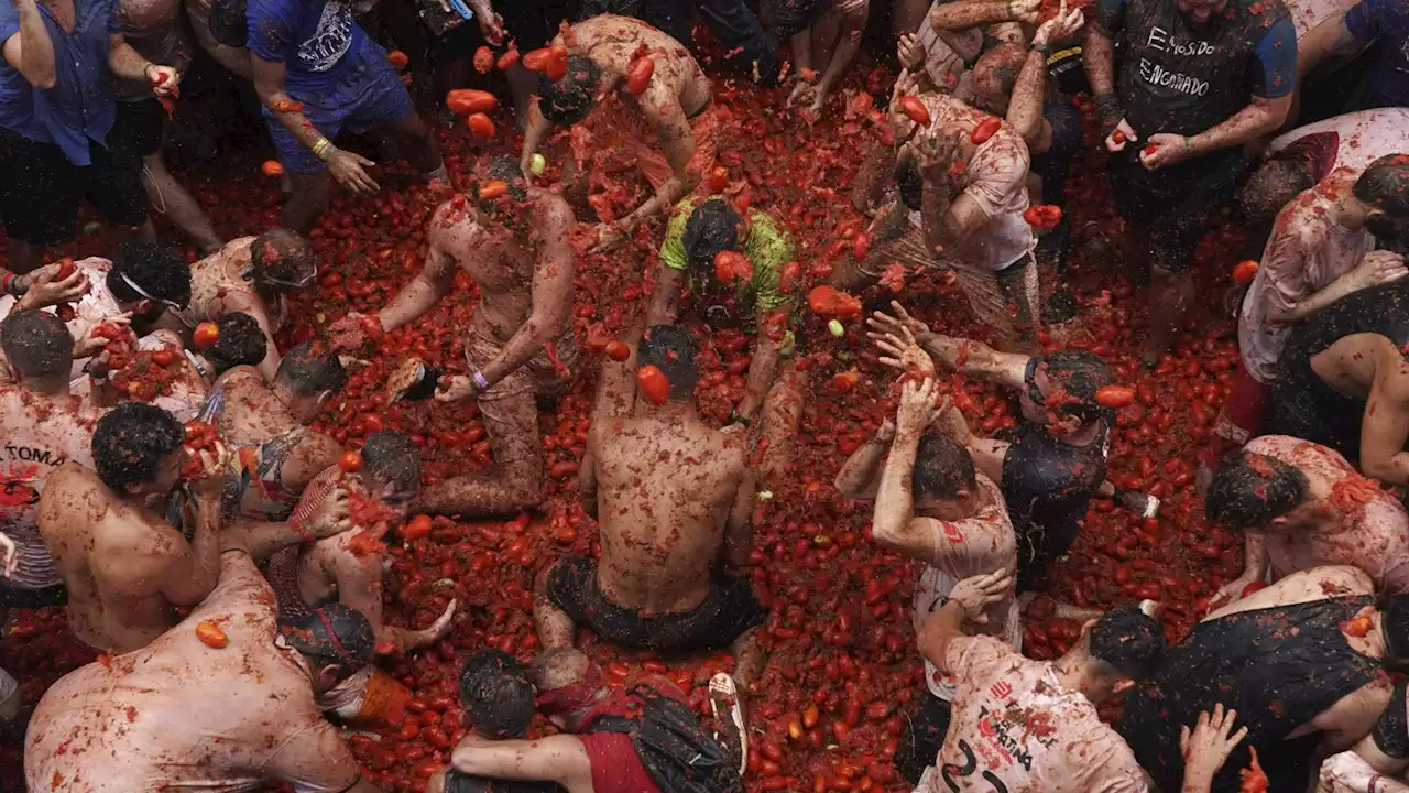 Revelers hurl tomatoes at each other and streets awash in red pulp in Spanish town's Tomatina party