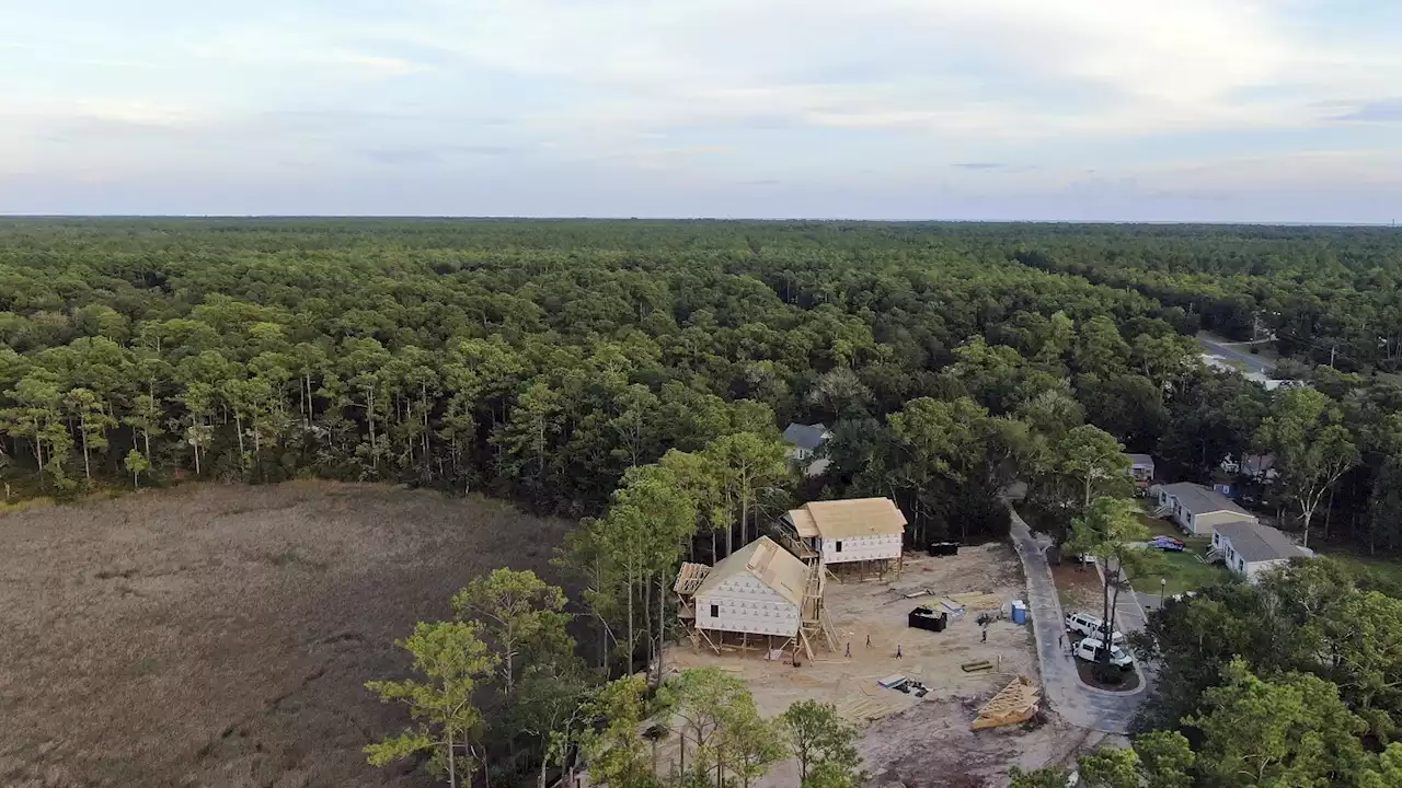 States at the forefront of fights over wetlands protections after justices slash federal rules