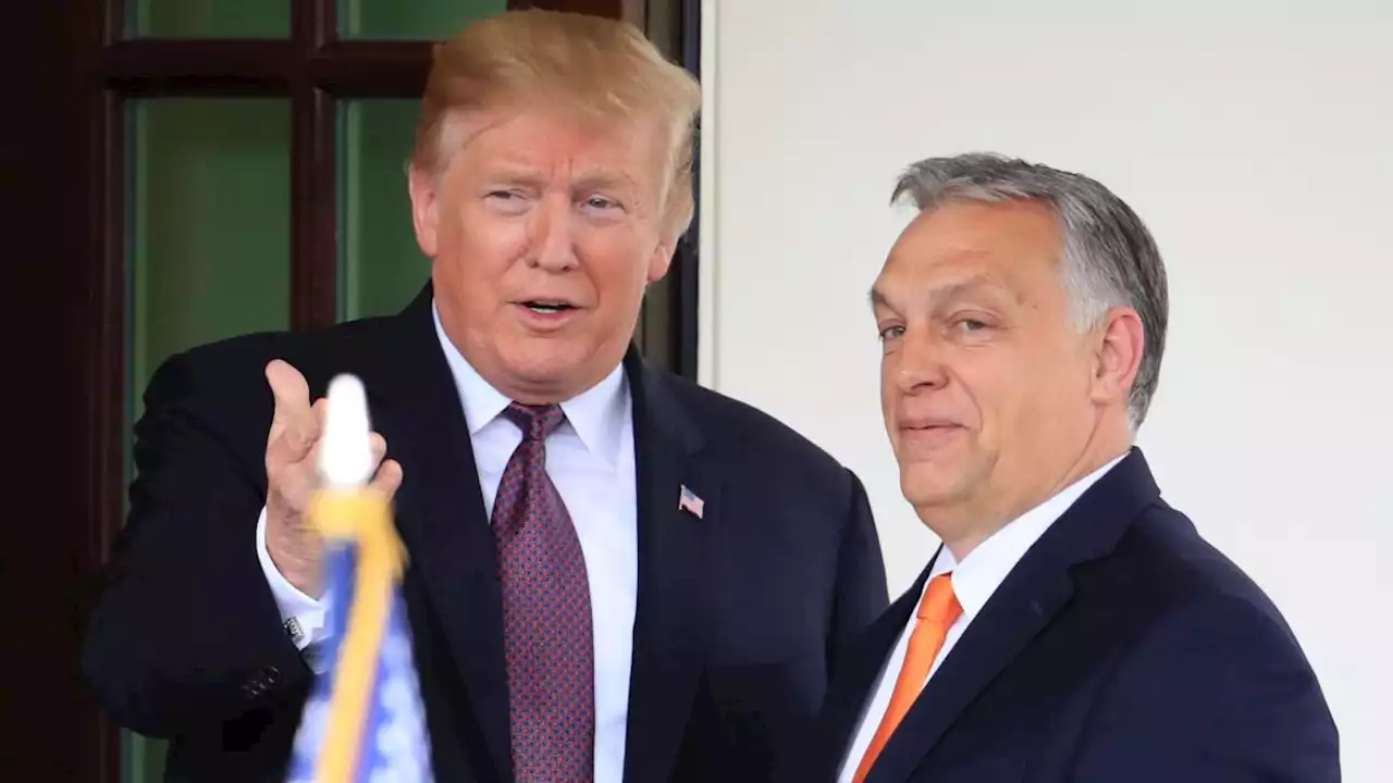 Frieden in der Ukraine? Orban setzt auf Trump