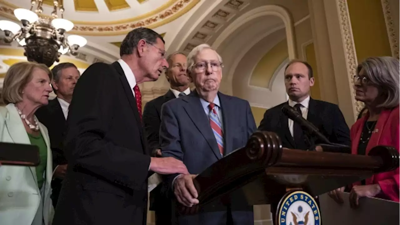 Mitch McConnell Appears to Freeze Again in Kentucky Appearance