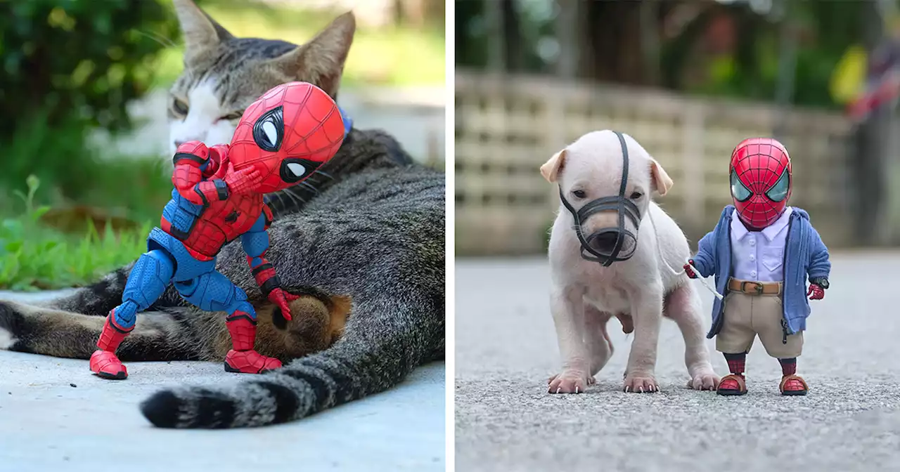 Artist Puts Baby Spider-Man And Animals In The Funniest Scenarios (52 New Pics)