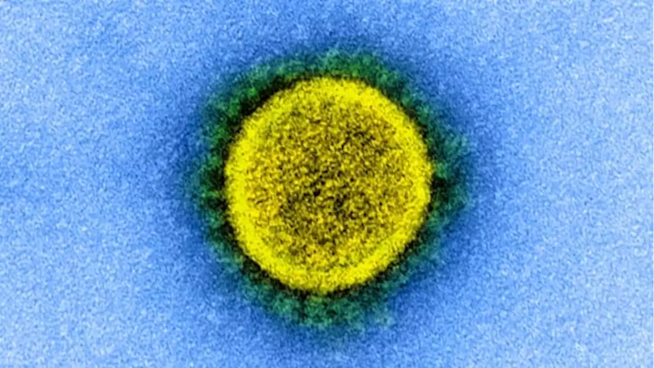 First Canadian case of highly mutated COVID-19 virus variant detected in B.C.