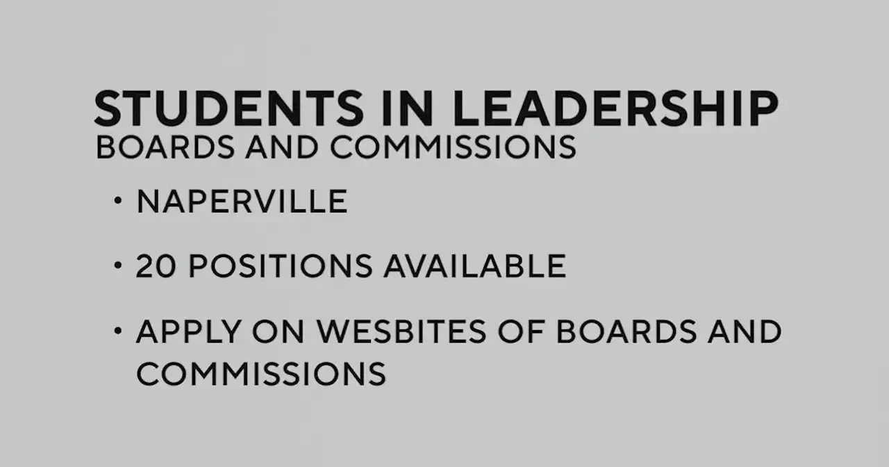 Naperville urging high school students to apply for Boards and Commissions