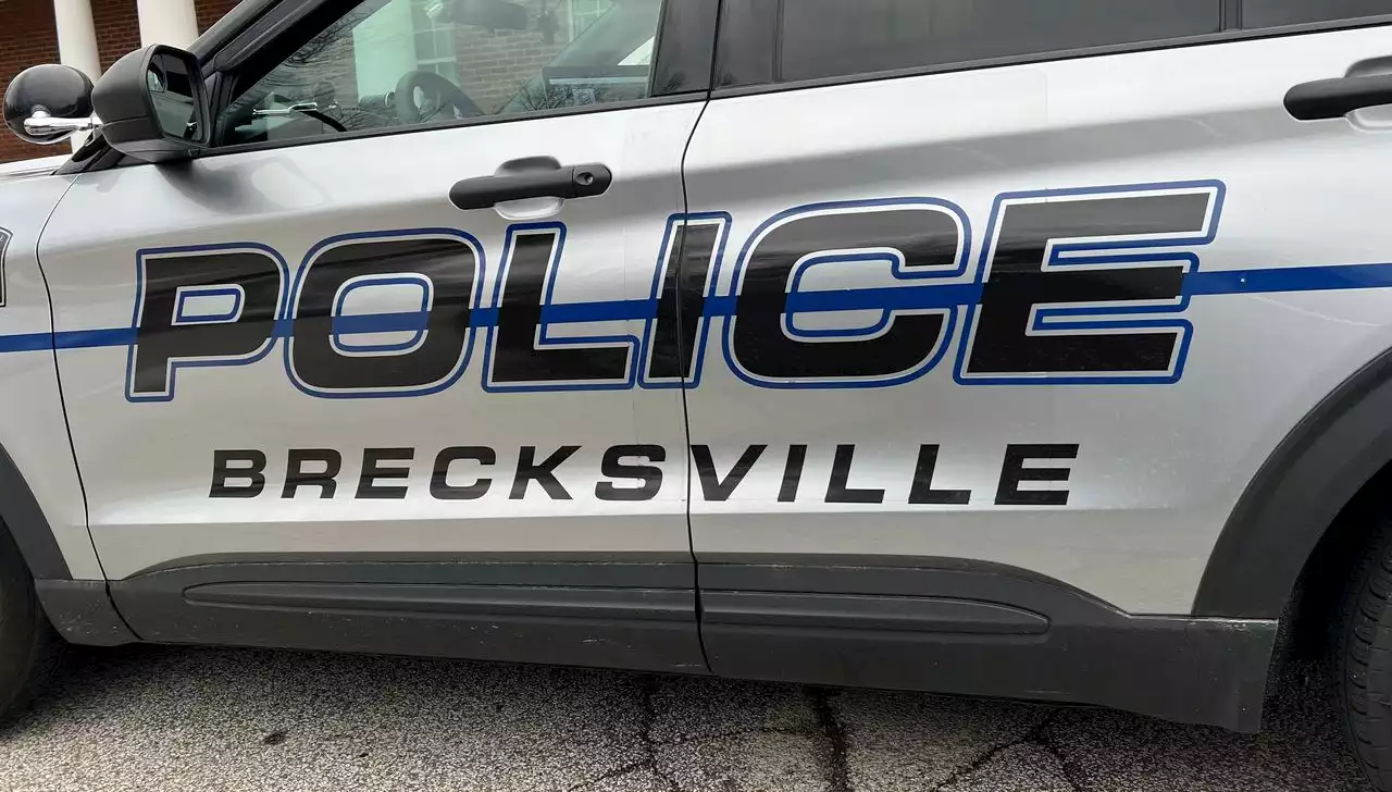 Resident unhappy after large metal object pierces her tire: Brecksville Police Blotter