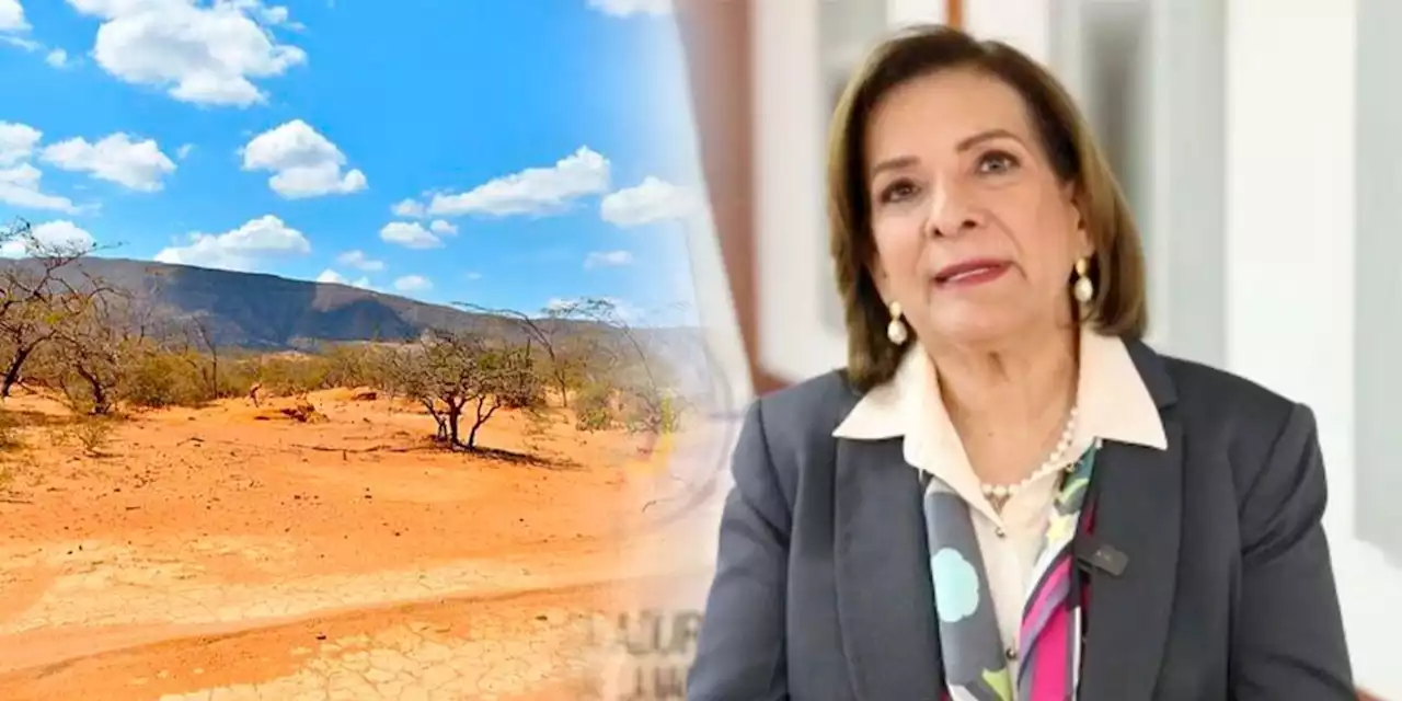 Procuradora pidió a la Corte Constitucional que tumbe decreto que declaró emergencia económica en La Guajira