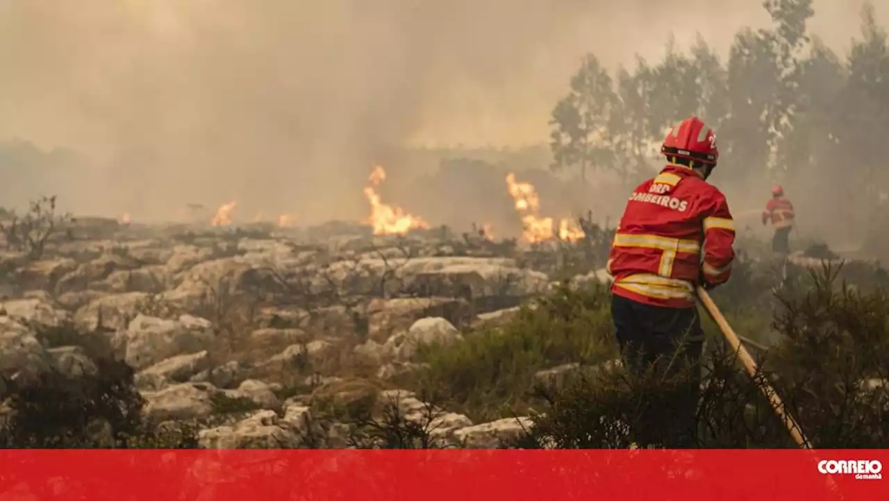 Cerca de 40 concelhos de seis distritos em perigo máximo de incêndio