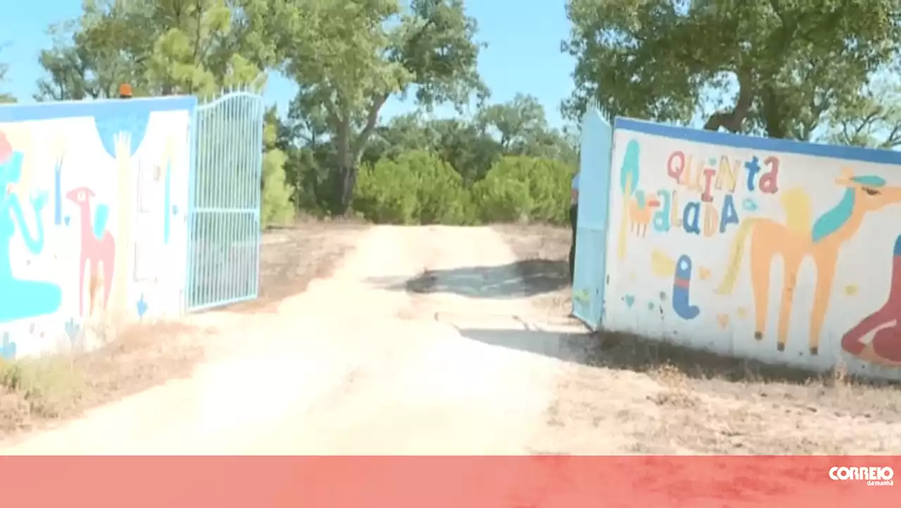 Piloto da SATA mata homem com catana numa quinta em Montemor-o-Novo