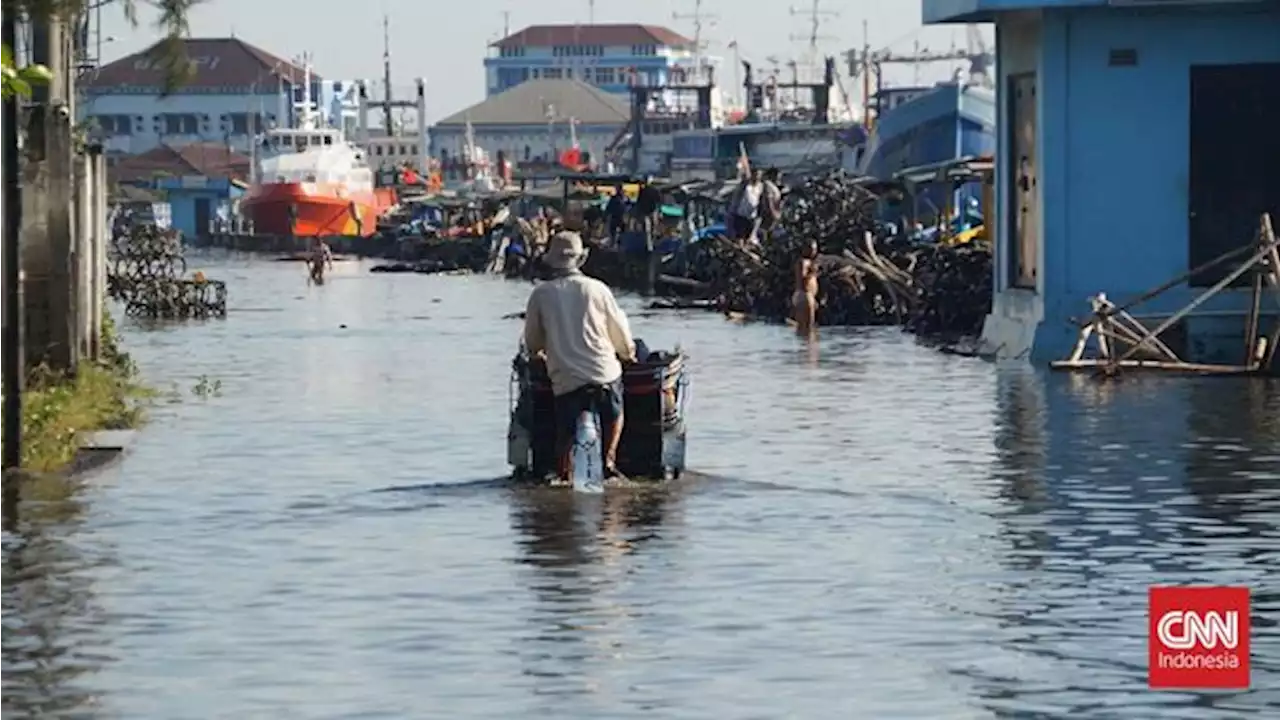 Daftar Daerah Pesisir Terancam Banjir Rob Imbas Supermoon Biru