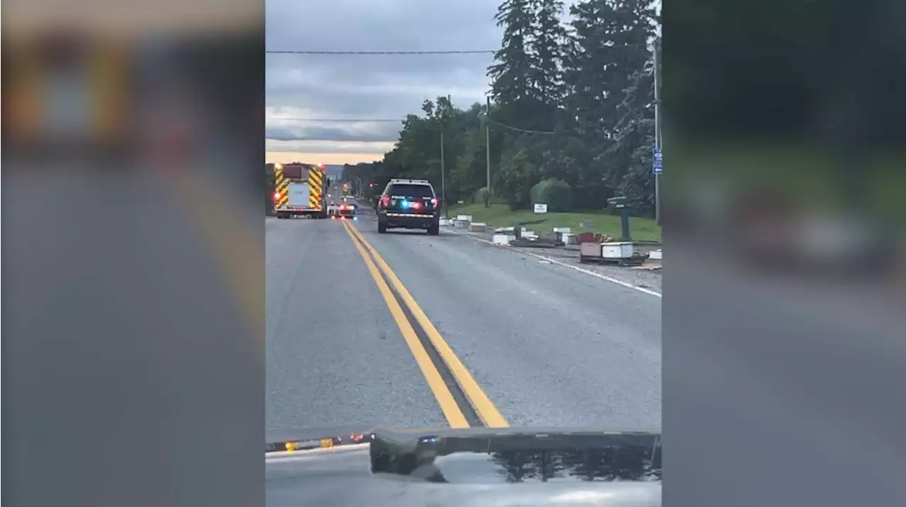 Load of 5 million bees falls off truck in Burlington; drivers warned to close windows