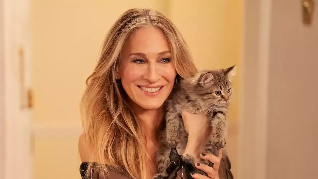 Sarah Jessica Parker ADOPTS kitten Carrie rescued in AJLT