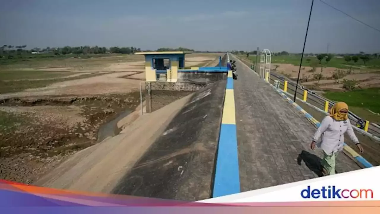 Potret Waduk Mengering Di Sragen, Ribuan Hektare Sawah Terancam