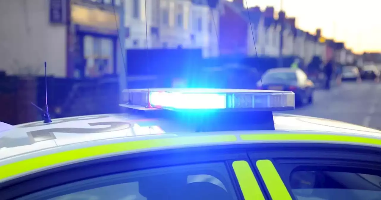 Man caught by police on M62 with parrot perched on his shoulder